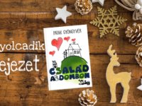 Cssalád a dombon - 8. fejezet